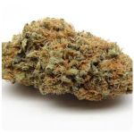 Шишки AK47 (Гидропоника, Бошка) VHQ в Стрежевом Шишки AK47 (Гидропоника, Бошка) VHQ в Стрежевом